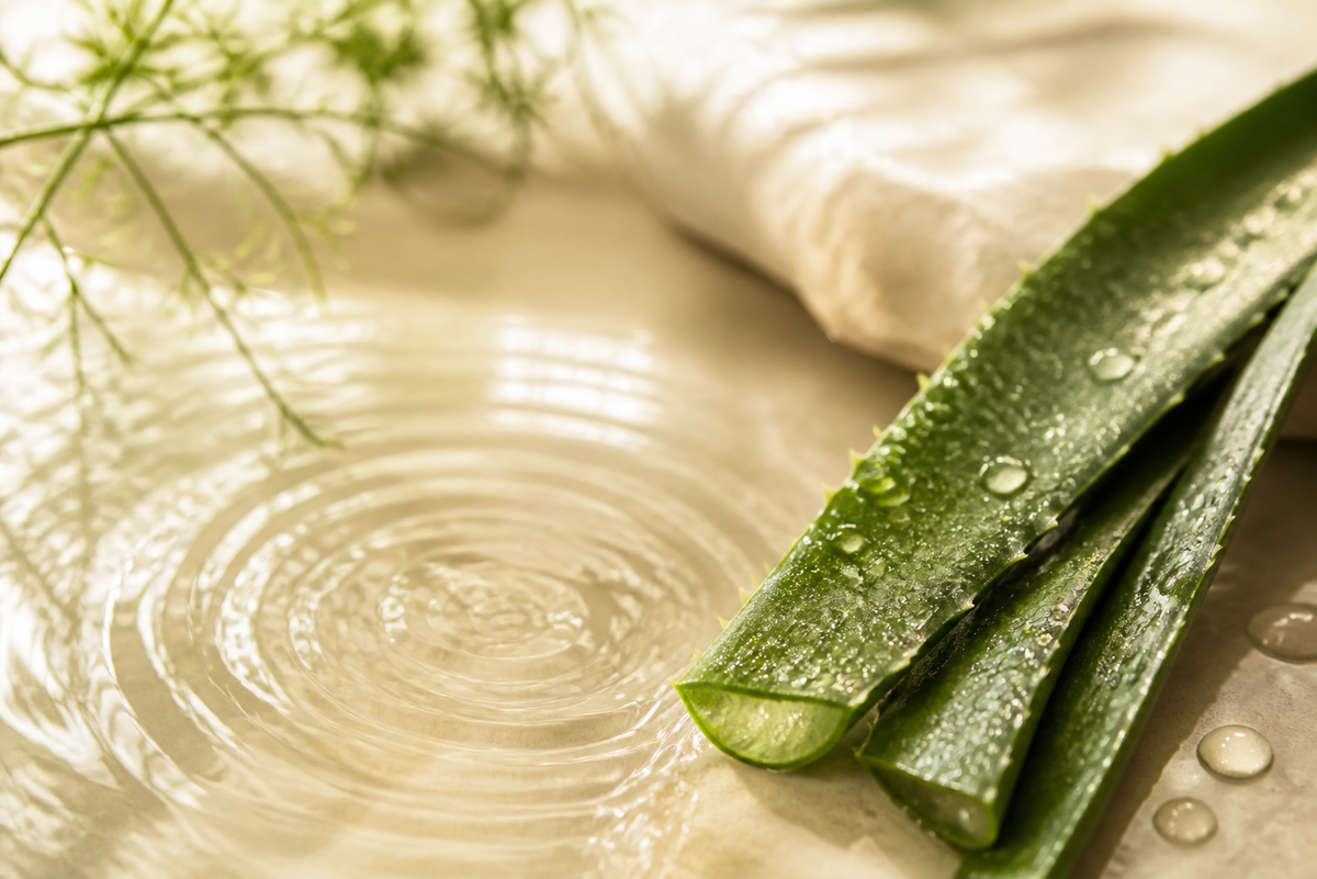 The Hydration Ritual: Why Elixir and Balms Work Better Together